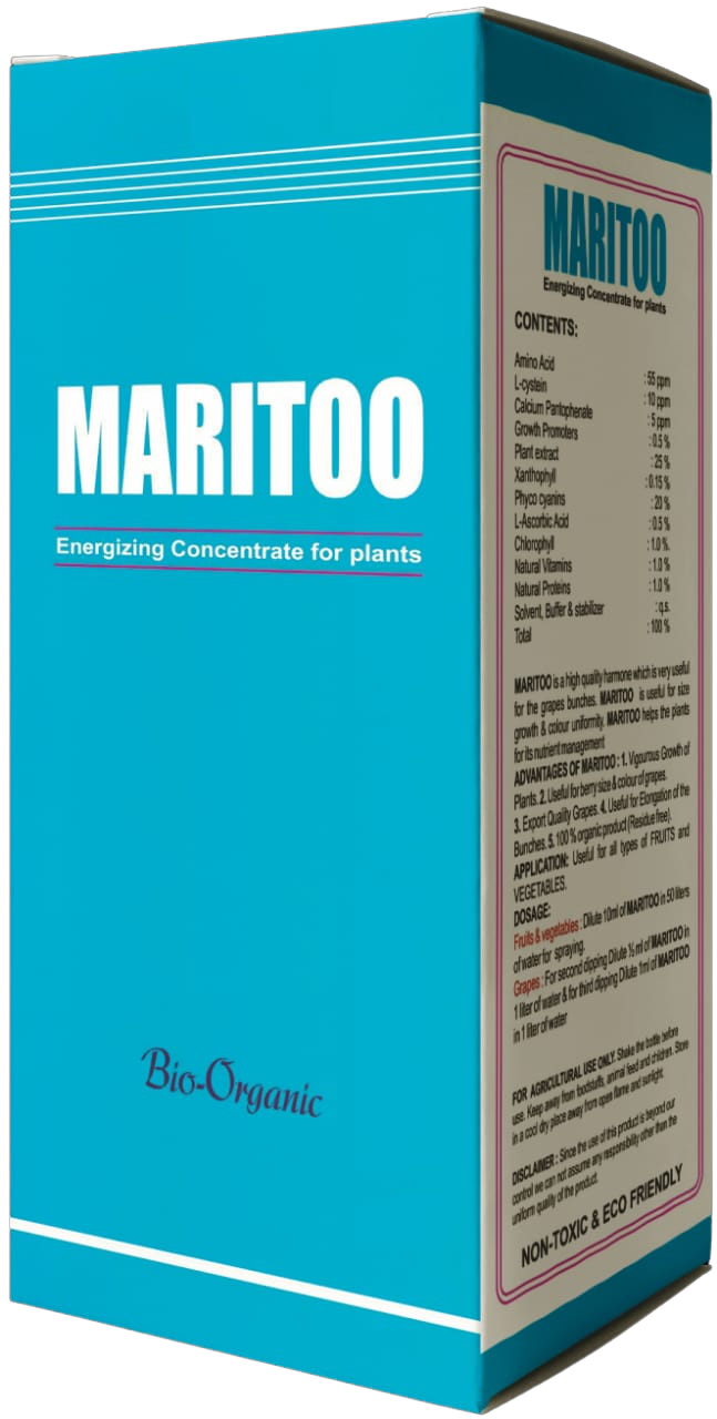 MARITOO